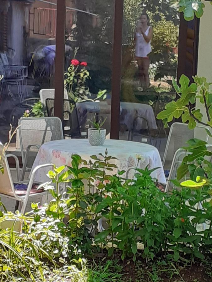 Apartment Helena 센 외부 사진